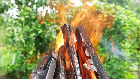 Charred logs burning with a bright flame in a fire Stock Footage 165351309
