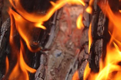 Charred logs in a fire close-up. Fire. The heat from the fireplace. Stock Photos
