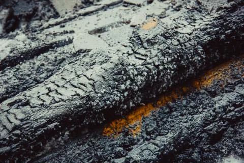 The charred logs in the snow 库存照片