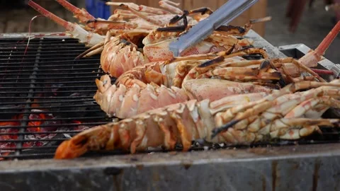 Charred shells and steaming lobster tails showcase the irresistible appeal of Stock Footage 312338389