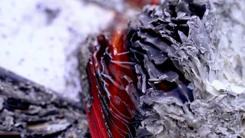 Charred stack of burned papers with ash. Stock Footage 321887940