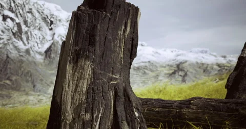 Charred tree stump amidst a rugged mountain landscape with snow peaks Stock Footage 324709385