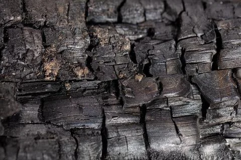 Charred wood surface showcasing textures and details in natural light 写真素材