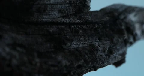 Charred Wood Texture in Moonlight. Stock Footage 260339572