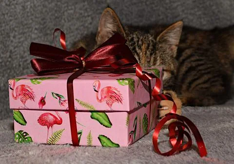 Charset=Ascii binary comment Stock Photos