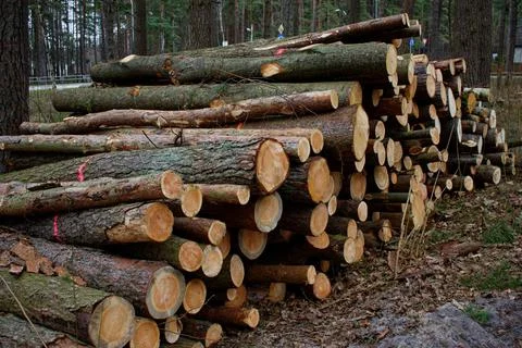 Charset=Ascii binary comment Stock Photos