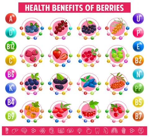 Chart table content of vitamins mineral in berries Stock Illustration