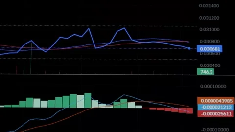 Chart Timelapse 1 Stock Footage 299962255