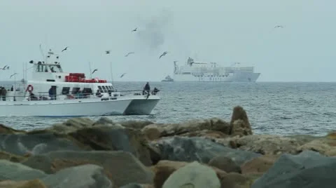 Charter boat Stock-Footage 21933367