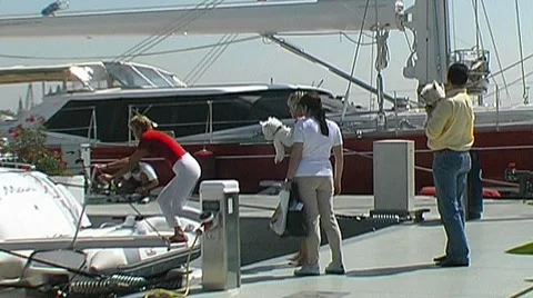 Charter guests arriving Stock Footage 8831760
