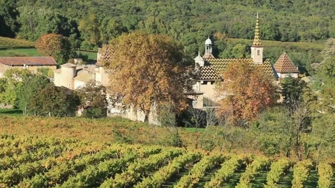 The Chartreuse de la Valbonne surrounded by vineyards. Gard Stock Footage 136183113