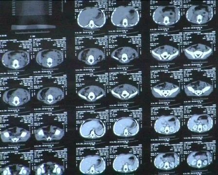 Charts Stock Footage 342806