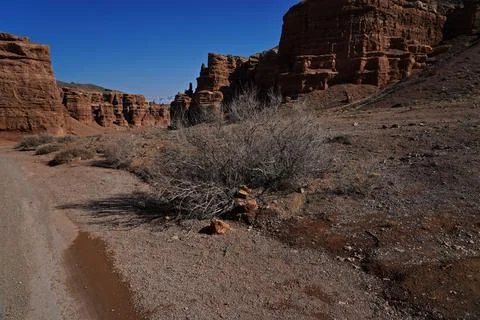 Charyn Canyon Fotos de archivo