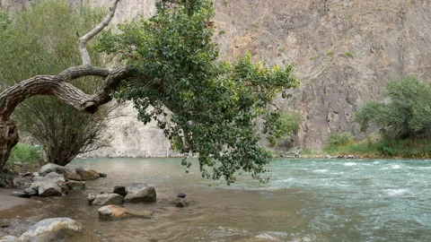 Charyn River in the Charyn Canyon. Stock Footage 115893483