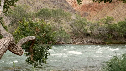 Charyn River in the Charyn Canyon. Stock Footage 115905757