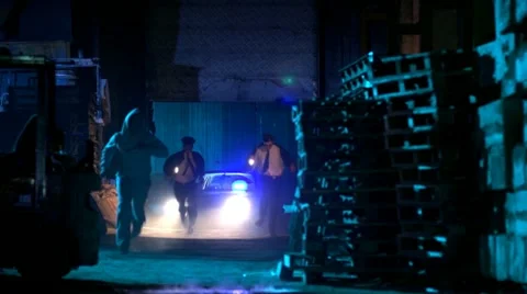 Chase 1 Video stock 12532818