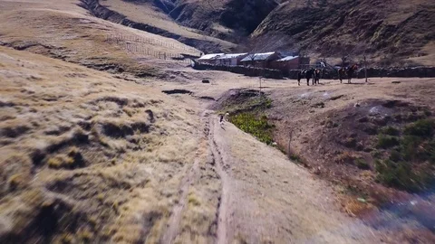 Chasing 3  running chicken on dry hill with clay house, AERIAL SHOT Stock Footage 89829897
