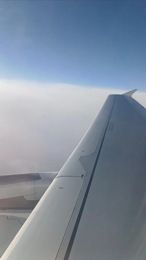 Chasing airplane sunny blue sky window view Stock Footage 282012950