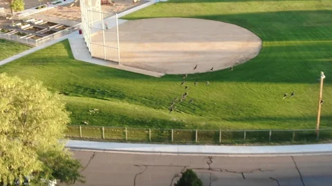 Chasing birds Stock Footage 102670773