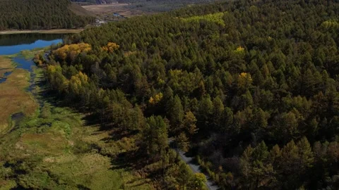 Chasing Car Moving Along The Highway Through The Forest, Near The River Flows Stock Footage 232013109