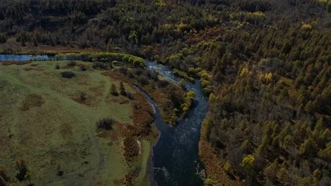Chasing Car Moving Along The Highway Through The Forest, Near The River Flows Stock Footage 232013977