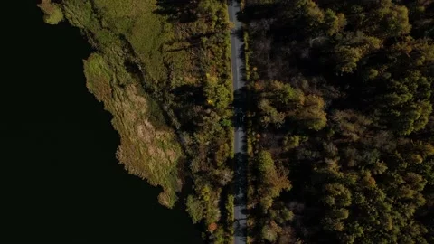 Chasing Car Moving Along The Highway Through The Forest, Near The River Flows Stock Footage 232015463