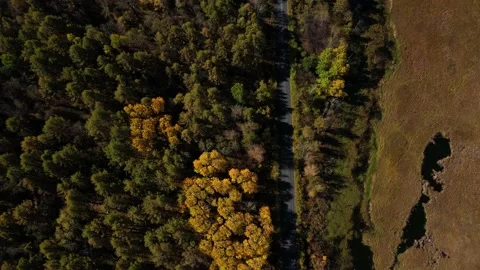 Chasing Car Moving Along The Highway Through The Forest, Near The River Flows Stock Footage 232022085