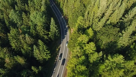 Chasing Car Running Through The Forest. Aerial Shot Stock Footage 116625586