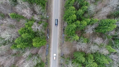 Chasing car through the forest in Russia aerial Stock Footage 94830200