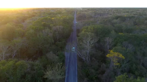 Chasing drone shot of a white car driving through the forest me Merida Stock Footage 152582713