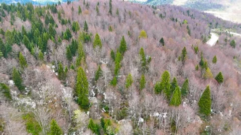 Chasing Frost with Drones Stock Footage 296666120