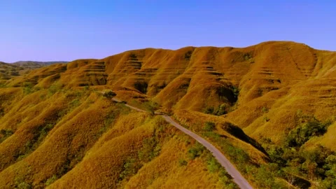 Chasing horizons, running with the wind. Stock Footage 305017589
