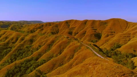 Chasing horizons, running with the wind. Stock Footage 305018550