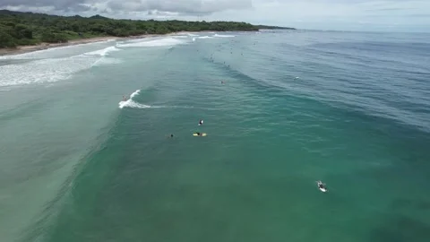 Chasing Pelicans After Flying Over Surfers Stock Footage 212482463
