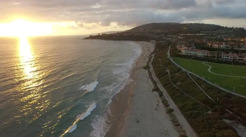 Chasing Pelicans Stock Footage 50969222