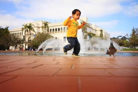 Chasing Pigeons Stockfoto's