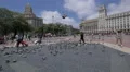 Chasing pigeons in Plaza de Catalunya, Barcelona 4k or 4k+ Resolution