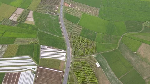 Chasing the Riders Stock Footage 148305465