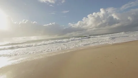 Chasing Seagulls On The Beach Stock Footage 76466118