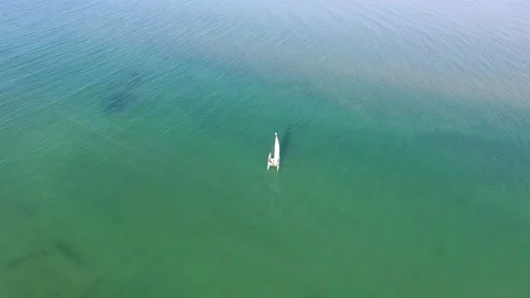 Chasing a small catamaran sailing boat at an Anglesey beach Stock Footage 234069994