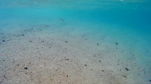 Chasing small fish in the sea underwater Stock Footage 74618086
