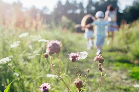 Chasing Summer Stock Photos