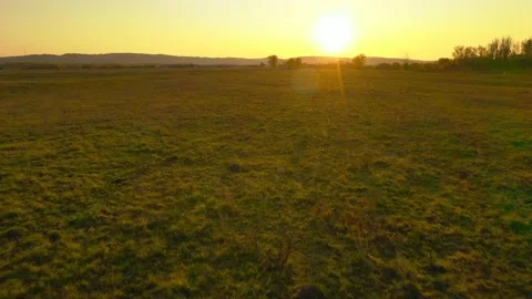 Chasing the sun. Flight over the field. Sunset. Stock Footage 142860731