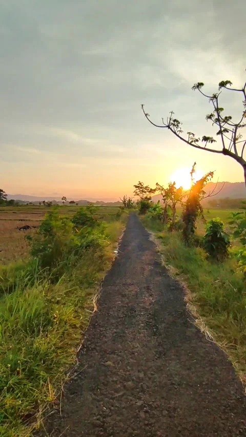 Chasing sunset Video stock 211411633