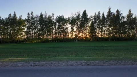 Chasing the sunset through trees along a tranquil green meadow Stock Footage 344819352
