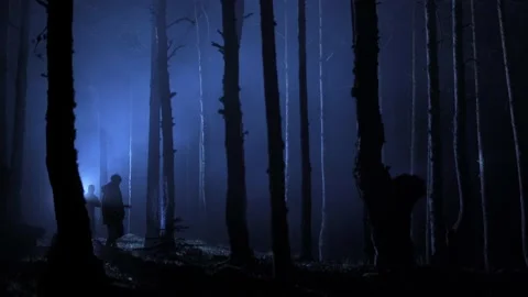 Chasing through the woods to kill, night. Stock Footage 198966682
