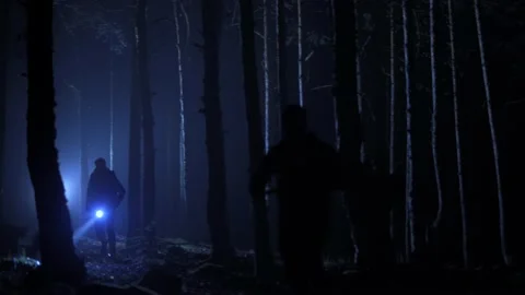 Chasing through the woods to kill, night. Stock Footage 198966830