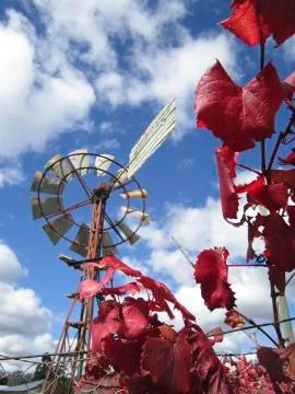 Chasing winds Foto stock