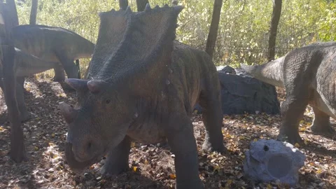 Chasmosaurus. The name means "lizard with holes" because of the holes Stock Footage 140929202