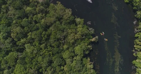 Chassahowitzka National Wildlife Refuge Seven Sisters River Homosassa Florida Stock Footage